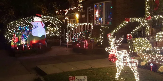 New York City Dyker Heights Christmas Lights Tour - Image 6