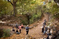Brooklyn Prospect Park Walking Tour thumbnail 3
