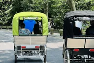 New York City Central Park Pedicab Tour thumbnail 3