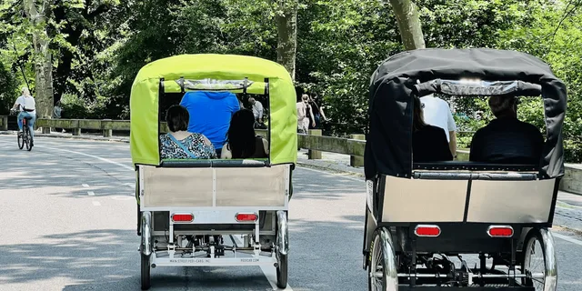 New York City Central Park Pedicab Tour - Image 3