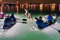 Sarasota Clear Kayak LED Night Tour thumbnail 1