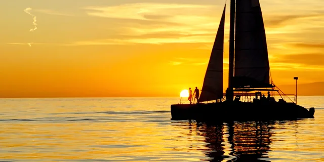 Key West Dolphin Watch and Sunset Sail - Image 2