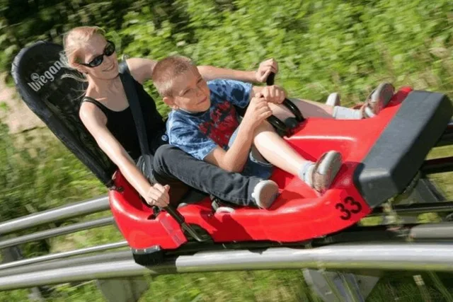 Branson Mountain Coaster - Image 3