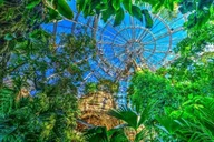 Houston Mural Tour and Butterfly Center 90 Min thumbnail 3