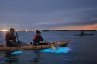 Orlando Bioluminescence Kayak Tour thumbnail 4