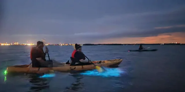 Orlando Bioluminescence Kayak Tour - Image 4