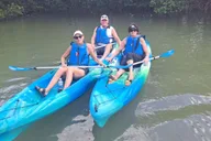 Marco Island Kayak Mangrove Ecotour in Rookery Bay thumbnail 6