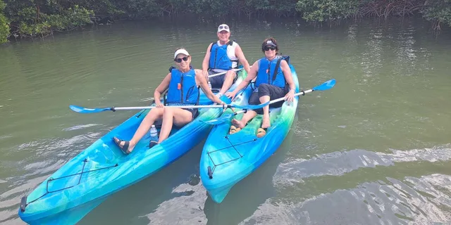 Marco Island Kayak Mangrove Ecotour in Rookery Bay - Image 6