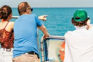 Key West Dolphin Watching and Snorkeling Eco Tour thumbnail 5