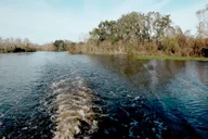 New Orleans Airboat Swamp Tour thumbnail 5