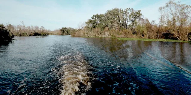 New Orleans Airboat Swamp Tour - Image 5