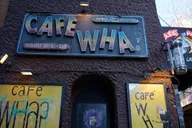 New York City History of Comedy Tour thumbnail 2