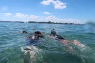 Lauderdale-by-the-Sea Snorkeling Adventure 2.5 hr thumbnail 4