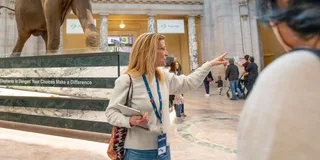 Washington DC Smithsonian Highlights Walking Tour