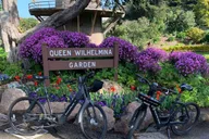 San Francisco Golden Gate Park Bike Tour thumbnail 3