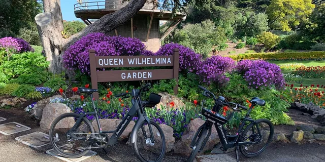 San Francisco Golden Gate Park Bike Tour - Image 3