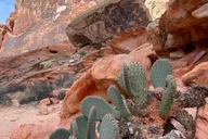 Las Vegas Valley of Fire Private Adventure thumbnail 4