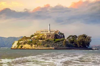 San Francisco Alcatraz Island and Muir Woods Tour