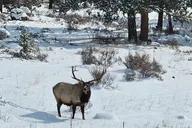 Denver Rocky Mountain National Park Hiking Tour thumbnail 3
