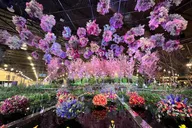 Philadelphia Flower Show Day Tour from Washington DC thumbnail 5