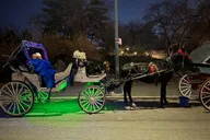 New York City Christmas Light Tour thumbnail 6