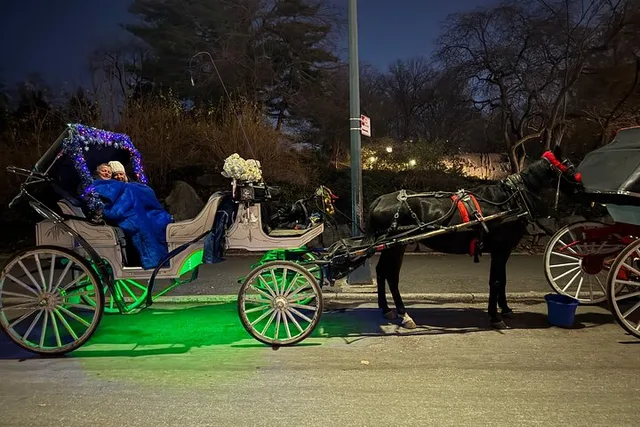 New York City Christmas Light Tour - Image 6