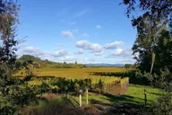 California Vineyards, Waves and Wine Tour thumbnail 3
