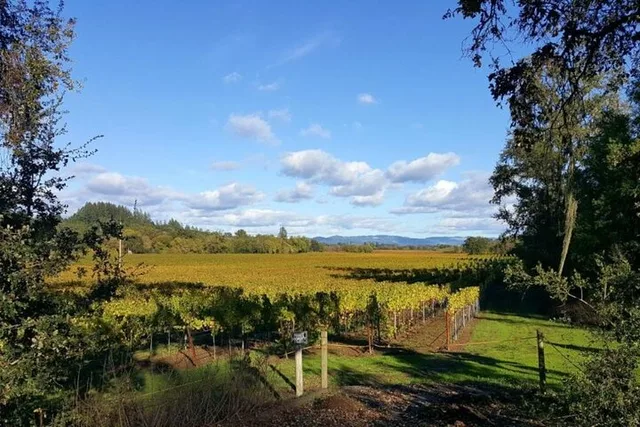 California Vineyards, Waves and Wine Tour - Image 3
