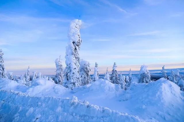 Fairbanks Arctic Circle Day Tour - Image 4