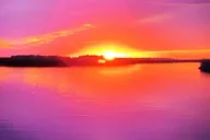 Charleston Sunset Dolphin Cruise thumbnail 1