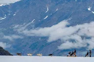 Seward Helicopter Glacier Dogsled Tour thumbnail 2