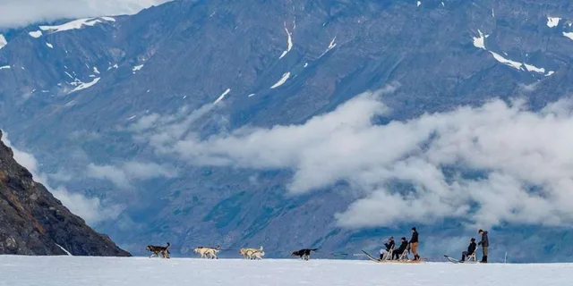 Seward Helicopter Glacier Dogsled Tour - Image 2