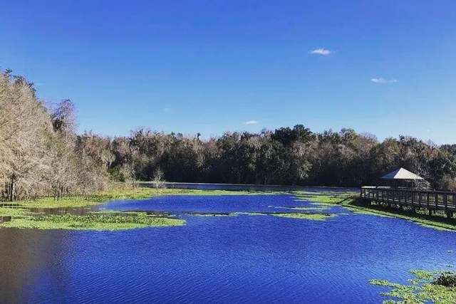 Farm to Table Tour in Ocala 2 Days - Image 4
