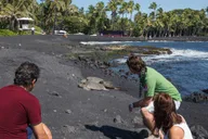 Big Island Volcanoes and Waterfalls Day Tour thumbnail 6
