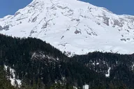 Seattle Mt. Rainier National Park Guided Tour thumbnail 5