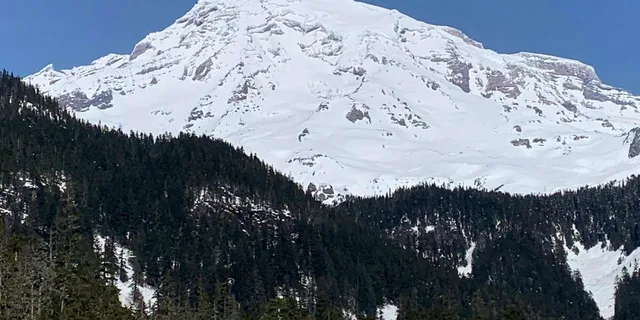 Seattle Mt. Rainier National Park Guided Tour - Image 5