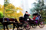 New York City Central Park Horse Carriage Ride thumbnail 3