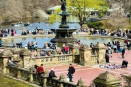 New York Central Park Pedicab Tour with Photo Stops 1-2 hr thumbnail 3