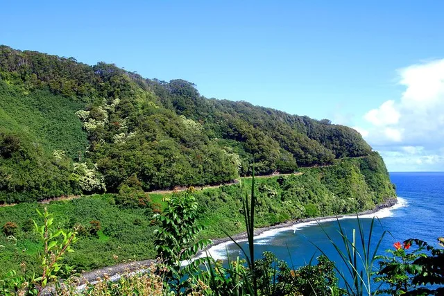 Maui Road to Hana Tour - Image 3