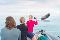 Kauai Raft Whale Watching Tour 2 hr thumbnail 2