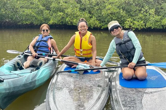 Bonita Springs EcoTour: Clear Kayak & SUP - 2.5 hr - Image 4