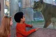 San Diego Zoo Safari Park 1-Day Pass thumbnail 4