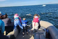Destin Crab Island Dolphin Tour thumbnail 6
