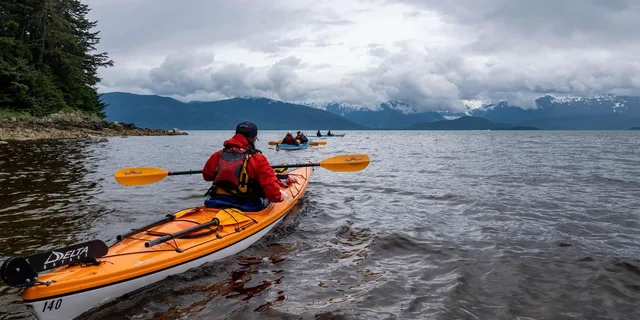 Juneau Paddle with Whales Kayak Adventure - Image 3