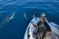 Honolulu Snorkel Tour at Turtle Canyon 90 min thumbnail 5