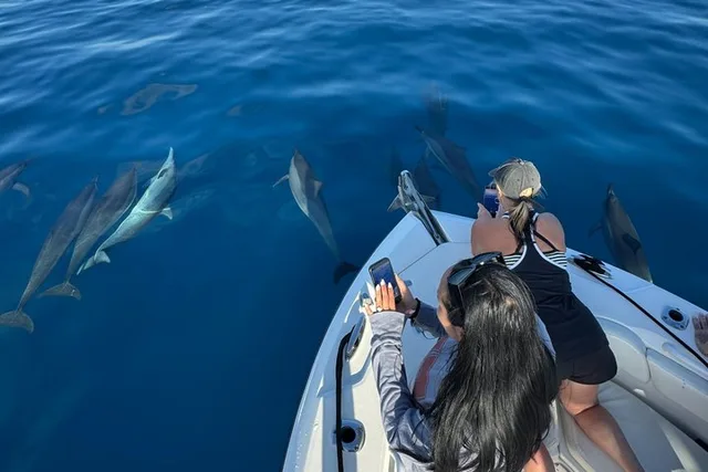 Honolulu Snorkel Tour at Turtle Canyon 90 min - Image 5