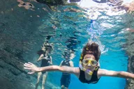 Orlando Discovery Cove Admission & Parks thumbnail 5