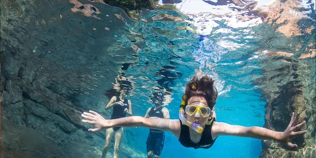Orlando Discovery Cove Admission & Parks - Image 5