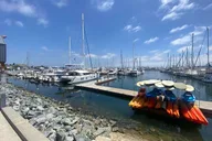 San Diego Roadster Getaway Experience 2.5 hr thumbnail 6