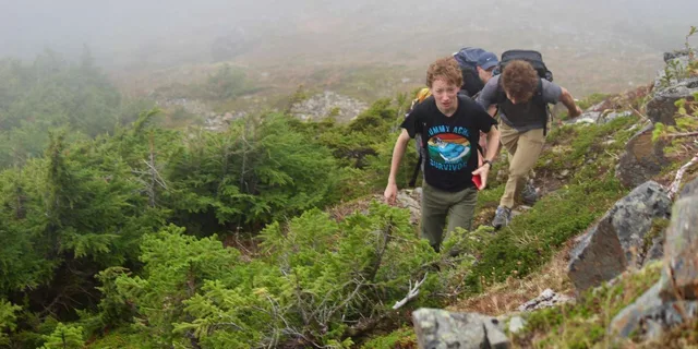 Sitka Alaskan Wilderness Trail Hike - Image 1